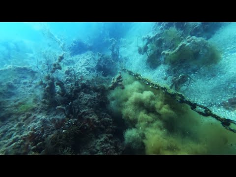 Видео: Подводный поиск или что можно найти на дне Черного моря.
