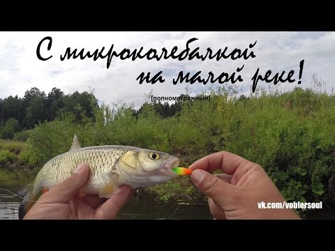 Видео: Летом с микроколебалкой на малой реке. УЛ спиннинг. Ловля голавля на блесну. Июль 2016.