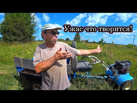 Видео: Люди бросили ХОРОШИЕ ДОМА. Редкие НАХОДКИ СТАРИНЫ. Недавно ЗАБРОШЕННАЯ ДЕРЕВНЯ в глубинке ВЯТКИ.