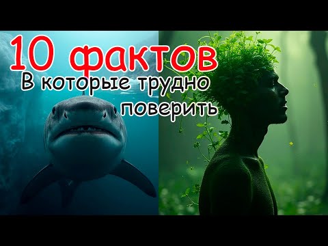 Видео: 10 фактов которые перевернут твой мир. В фокусе