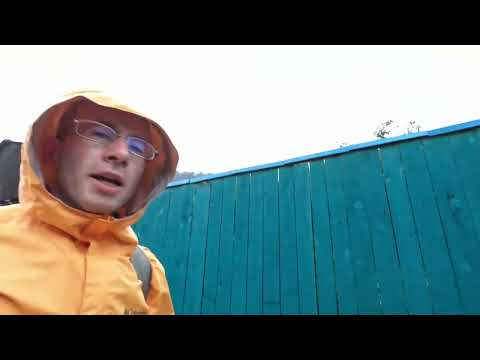 Видео: Байкал. Листвянка. Большие коты. Большая байкальская тропа.