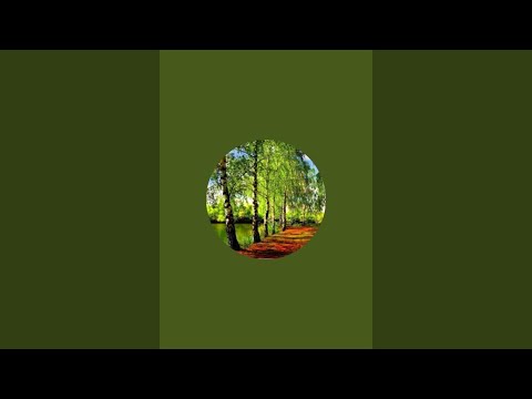 Видео: Частное мнение русского немца überträgt einen Livestream.