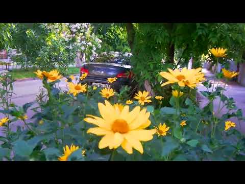 Видео: Новочеркасск.Большая Летняя Прогулка (Часть 2)
