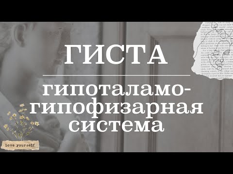 Видео: Гипоталамо-гипофизарная система (строение, функционирование) | Гистология