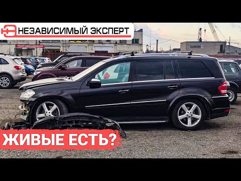 Видео: Охота на GL!