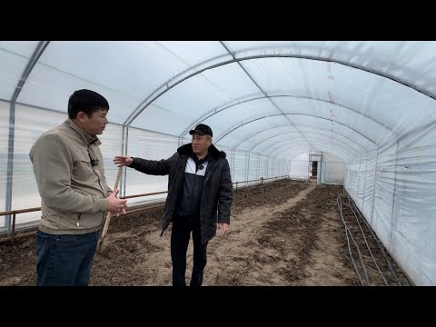 Видео: ТЕПЛИЦА КУРЫП БЕРЕМИЗ
