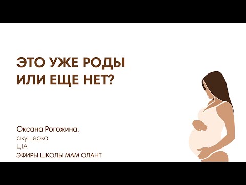 Видео: ЭТО УЖЕ РОДЫ ИЛИ ЕЩЕ НЕТ?