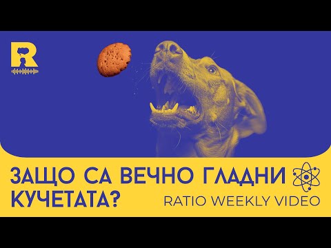 Видео: Защо са вечно гладни кучетата? [Ratio Weekly с Никола Кереков]