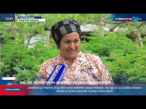 Видео: Хайитбек Мўминовга 20 сотих малиначилик йўналишида ер ажратиб берилган эди, натижасичи?