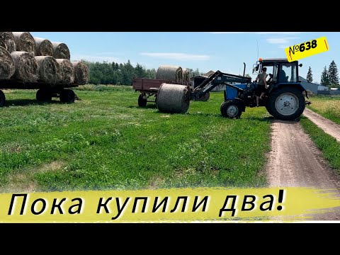 Видео: Хотели взять один, но взяли два. Готовимся к большой воде. Сенокос 2025. Омская деревня.