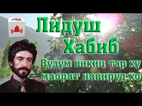 Видео: Лидуш Хабиб // Вузум вихиц тар ху маорат навирудху //