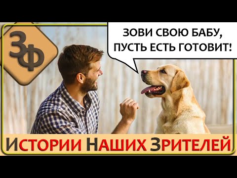 Видео: 226 Занимательные Истории Наших Зрителей, Иногда и Смешные и Печальные Одновременно