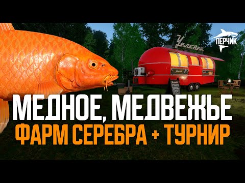 Видео: Фарм на Медном и турнир на Медвежьем - Вечерний Лайт №4 ● Русская рыбалка 4 ● РР4