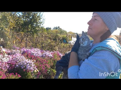 Видео: В ГОСТЯХ У ЛЮДМИЛИ. БАГАТО НЕЙМОВІРНОЇ КРАСИ🥰