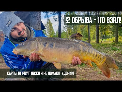 Видео: Flat Feeder | Как мы соблазняли ОГРОМНОГО карпа на поклевку?! | В погоне за осенним трофеем. Часть 2