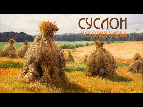 Видео: Суслон. Древнейший хлеб