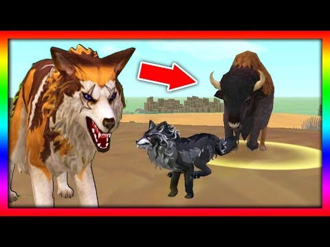 Видео: СИМУЛЯТОР ВОЛКА #30 ПОБЕДИЛИ БИЗОНА Жизни Зверей WildCraft про котят лис собак ДЕТСКИЕ ИГРЫ