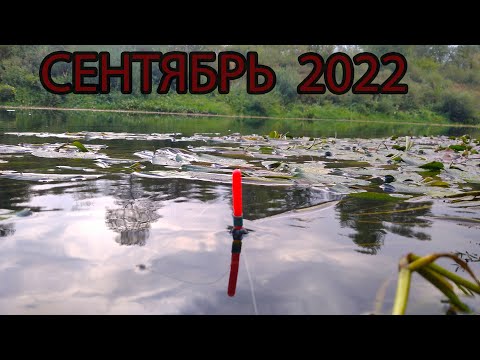 Видео: Первая рыбалка в сентябре 2022,  суперклёв и итоги конкурса.