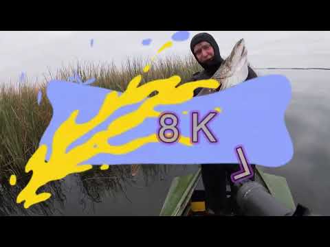 Видео: Подводная охота N12 “От рассвета до заката» Сезон 2023