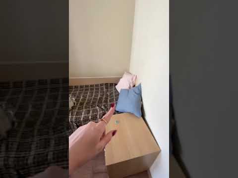 Видео: Новое общежитие МГУ на Ломоносовском