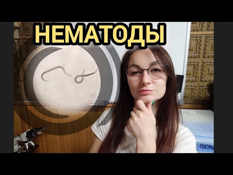 Видео: Нематоды. Естественные защитники растений от вредоносных насекомых. Симбиоз нематод и бактерий.