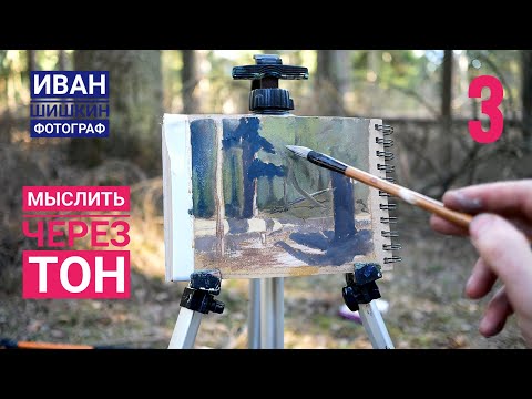 Видео: Пленэр 3 - мыслить через тон, обобщение зон тени и света, Шишкин фотограф.