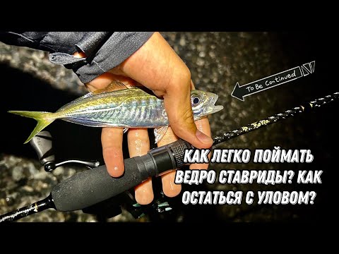 Видео: От РЫБЫ ОТБОЯ НЕТУ! Ловля СТАВРИДЫ на СПИННИНГ на ЧЕРНОМ МОРЕ! Rockfishing! САМЫЙ ИНТЕРЕСНЫЙ СПОСОБ!