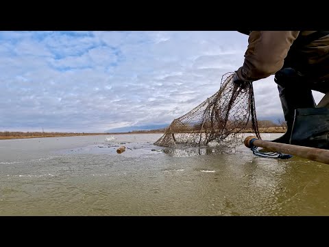 Видео: ЛЁД ТРЕЩИТ! ОПАСНАЯ РЫБАЛКА ПО ТОНКОМУ ЛЬДУ. СНИМАЕМ ФИТИЛИ
