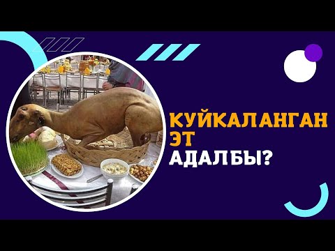 Видео: КУЙКАЛАНГАН ЭТ АДАЛБЫ?