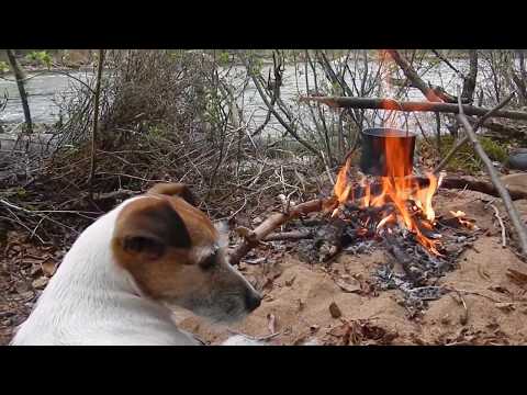 Видео: Ташир, Таежный 2017