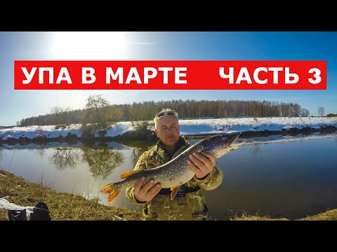 Видео: Упа в марте  Ловля щуки  Часть 3