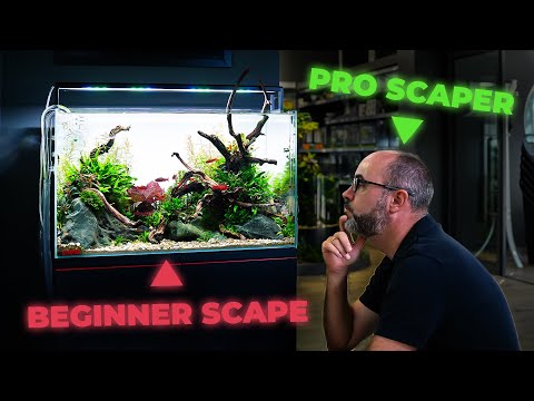Видео: Руководство профессионала по созданию вашего первого аквариума