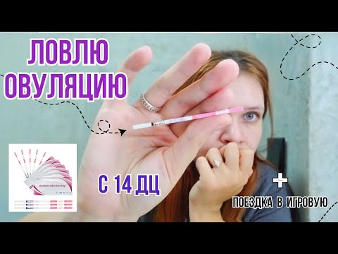 Видео: 2 цикл планирования | Делаю тесты на овуляцию с 14 ДЦ | Пропустила всё-таки? | Мини влог🙈 | 1 часть.