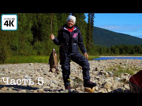 Видео: Путешествие о котором мечтает каждый рыбак(ч.5) | Ловим рекордного хариуса | Топим баню, коптим рыбу