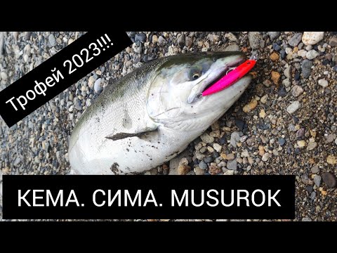 Видео: Рыбалка. СИМА. КЕМА 2023. РЫБАЛКА 2023. Рыбалка приморский край.