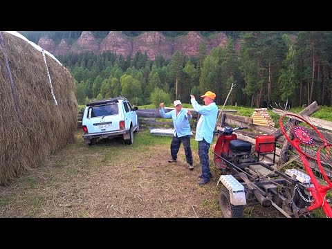 Видео: Про таежные дары и сенокосные забавы. Лето в Сибири