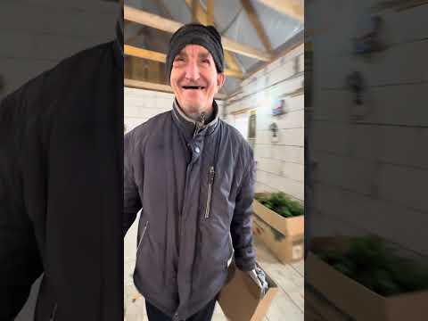 Видео: Доцент приехал / ГАРДЕЙ И ИВАНЫЧ #телеграм #automobile #топ #волгоград #блогер #прикол #рек 