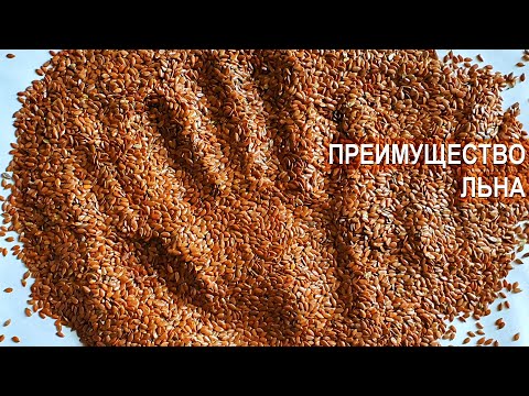 Видео: Лён масличный. В чём достоинства? Группа компаний КВН-АГРО