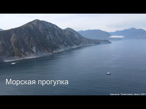 Видео: Камчатка. Морская прогулка до Русской бухты