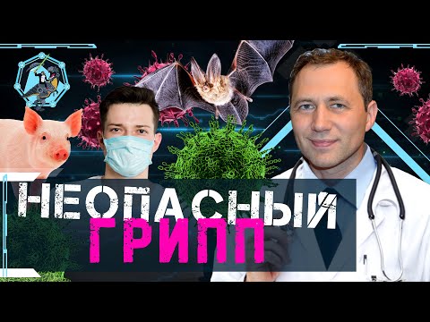 Видео: «Это всего лишь грипп…» Нужна ли вакцина? Егор Воронин. Ученые против мифов Z-4