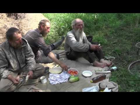 Видео: Обед возле Южного пруда.  13. 08. 2016