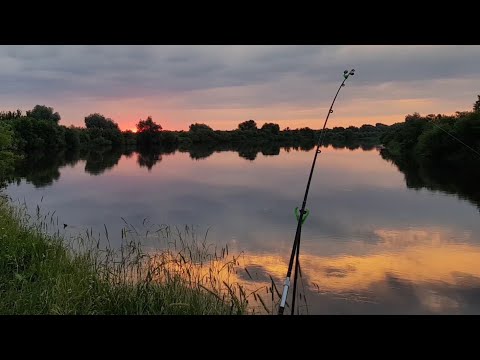 Видео: Рыбалка на Донки Крокодил. Рыбалка с Ночёвкой на Днепре. Лещ на Донки. Отличный Клёв Леща на Донки.