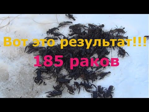 Видео: Вот это да, 185 раков!!! Еще одна мега крутая проверка!