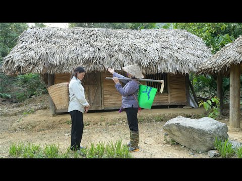 Видео: Добрая старушка даёт бездомной девочке заброшенный дом – путь к новой жизни