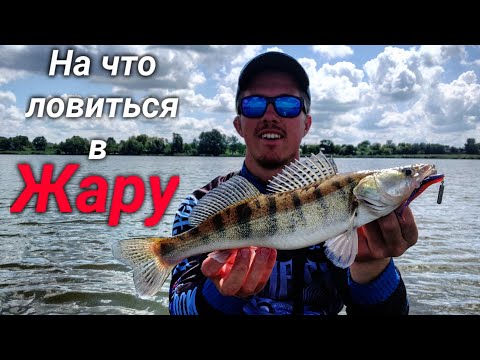 Видео: Борьба с огромной рыбой! Ловля щуки и судака летом. Рыбалка на джиг. Azura Kenshin 81 ML.