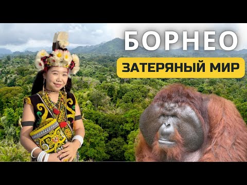 Видео: Остров Борнео: орангутанги и охотники за головами | Саравак, Малайзия