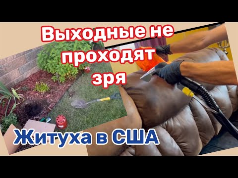 Видео: Дивану 20 лет- как новый , можно продать ⁉️Чистка, уборка, посадка новых растений ☝️