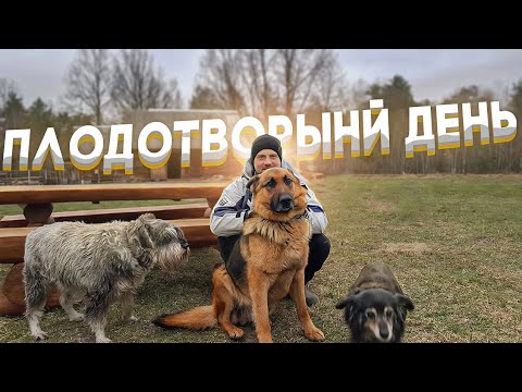 Видео: Строим дом на дереве и устанавливаем электропастух .Распаковка посылки из Германии.