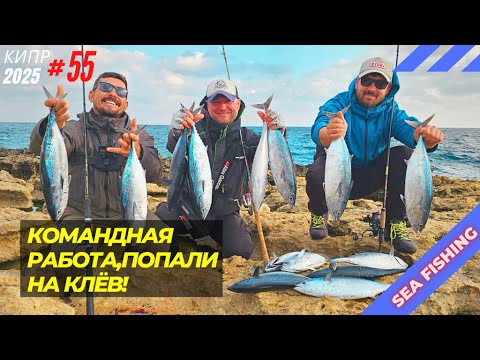 Видео: Рыбалка на Кипре.Командная работа,попали на клёв! Часть - 55.Сезон 2025