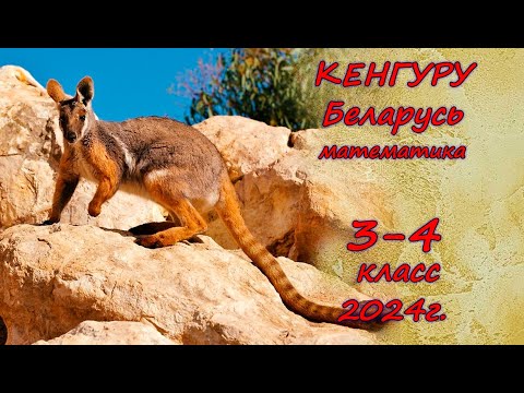 Видео: Олимпиада "Кенгуру". 3-4 класс. 2024 г. Подробные решения с советами :)